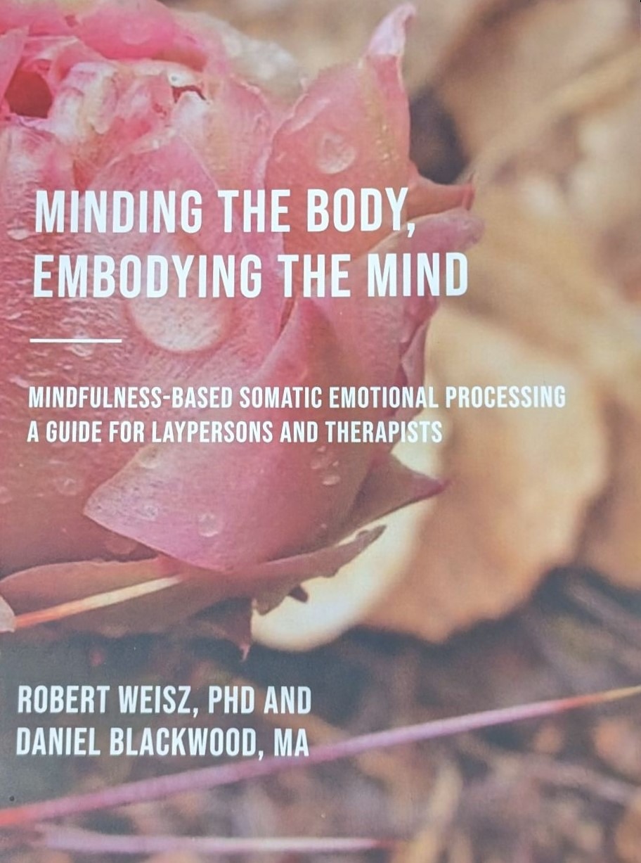 MBSEP Book Cover 2 Mindfulness Based Somatic Emotional Processing